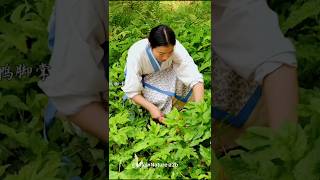 पहाडो का Secret Summer Food | Rare Village Recipe 🥙#shortsfeed #food #shorts #recipe #minivlog