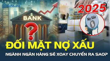 Đối mặt NỢ XẤU và cơn sóng ngầm: Ngành ngân hàng sẽ xoay chuyển ra sao trong 2025? | CafeLand