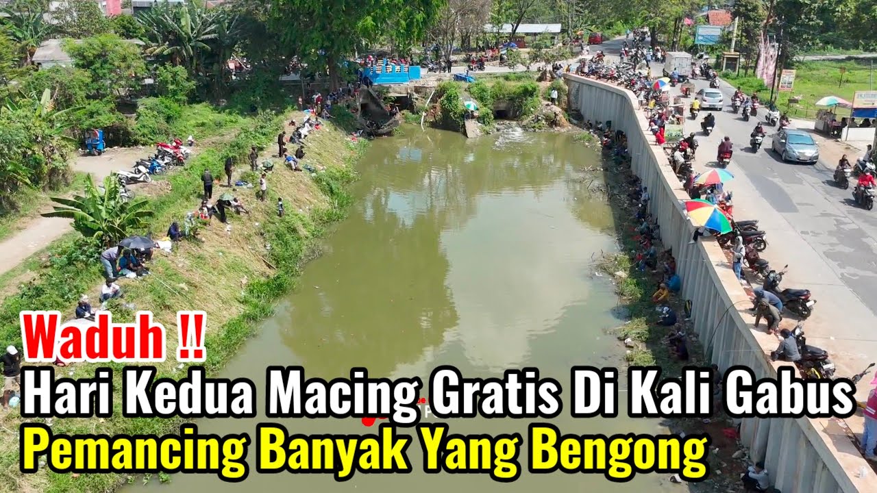 Waduh‼️Hari Kedua Mancing Gratis Di Kali Gabus Pemancing Banyak Yang Bengong