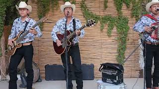 Modesta Ayala Los Jilgueros De Choix