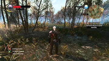 The Witcher 3 1.04 patch for PS4 sucks