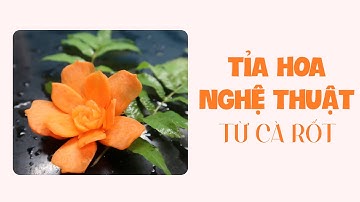Tỉa hoa củ quả một nghệ thuật trang trí món ăn từ cà rốt dễ dàng cùng @mebaohan.official