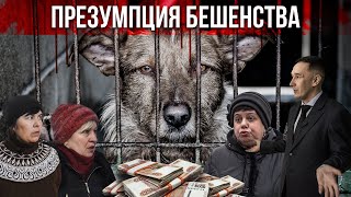 Презумпция бешенства. Как бурятские чиновники и фирмы отлова наживаются на убийстве бродячих собак.