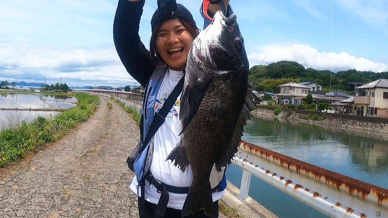 人生初めてのチヌトップで大喜び 釣りいろは 釣り動画tv