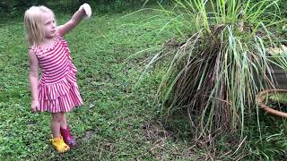 Advice from a 5 Year Old On How to Make Shelter from the Rain