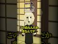 コ。この島なんだか変なんです... #トモコレ #かんなちゃろ #ゲーム実況