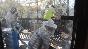 Unconventional Observation Hive - Package Installation