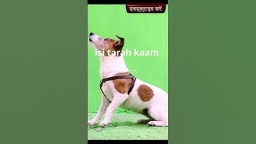 Java Inheritance: Real Life Example #oop  #inheritance #programming #java