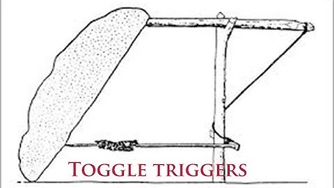 Toggle release traps