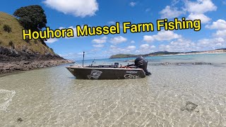 Houhora Mussel Farm Fishing With Nova