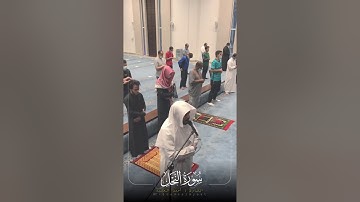 ﴿وَيَعبُدونَ مِن دونِ اللَّهِ …﴾ تلاوة مختارة من سورة النحل للقارئ أحمد العبيد