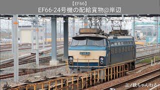 【EF66】 EF66-24号機牽引の配給貨物@岸辺(2011年)
