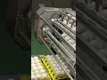 dây truyền trứng tự động