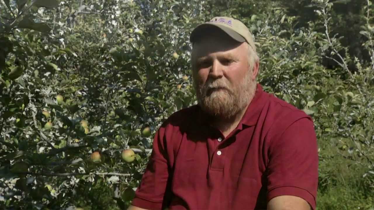 Cultivating a Holistic Orchard
