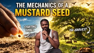Your Life Is A Mustard Seed, What’s Coming Is Beyond Your Imagination 