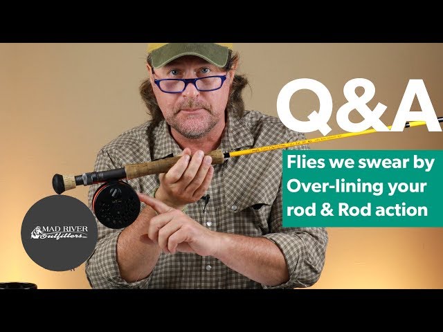 Q&A  #10 - Flies we swear by, Over-lining your rod & Rod action