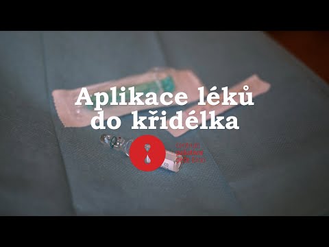 Video: Lidokain - Pokyny, Aplikace, Jmenování