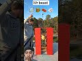 Wrecking ball by Mr beast #mrbeast #challenge #shorts