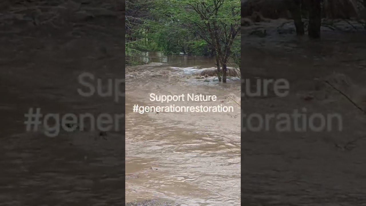 Nature Blessing