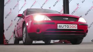 Vedligeholdelse Ford Ecosport mk2 - videovejledning