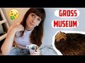 A Day in my Life in Tokyo! Bad Taxidermy, Gross Exhibitions, and Foooood