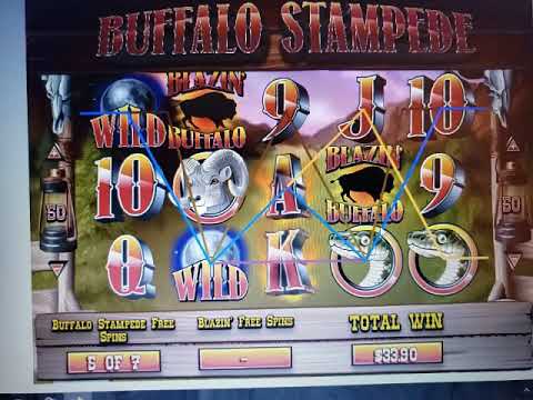 Buffalo On Bovada From My Computer (click Description) - YouTube