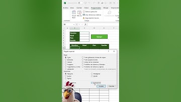 MACRO para INSERTAR datos en EXCEL #excel