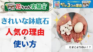 【人気の理由】きれいな鉢底石の秘密と使い方【軽い！】