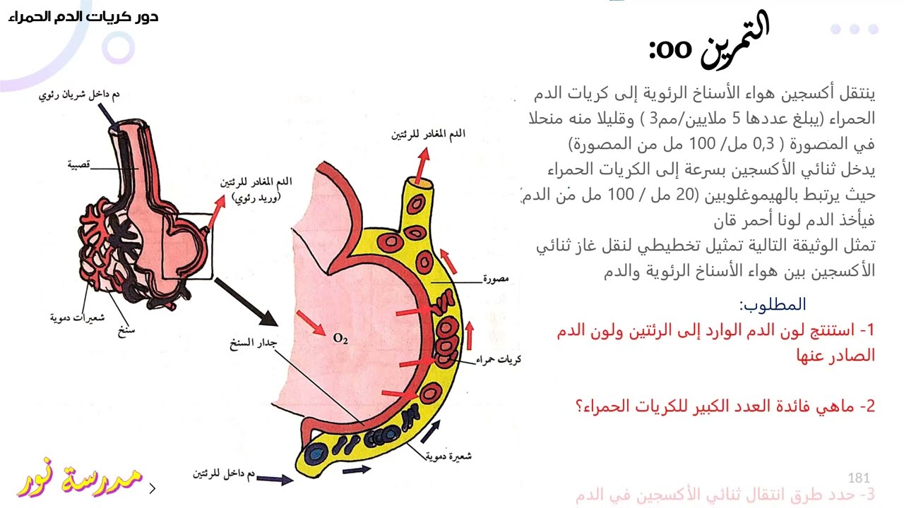 تمرين حول دور كريات الدم الحمراء في النقل علوم طبيعية سنة 04 متوسط