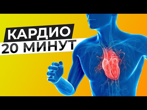 Видео: Как да изберем кардио упражнение