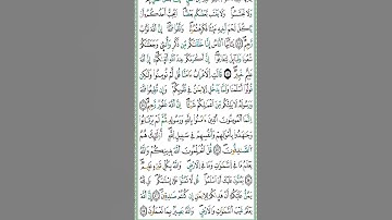 #المصحف #سورة #الحجرات #قران_كريم