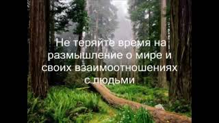 "Привязанность". Шри Сатья Саи Баба 🥰🙏❤🌹