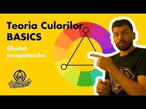 Teoria Culorilor Basics - Ghidul Incepatorului