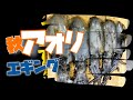 秋アオリイカ堤防エギング！！瀬戸内海の堤防でアオリイカをGETしました！