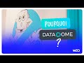 Pourquoi rejoindre datadome  avec gilles walbrou entretien