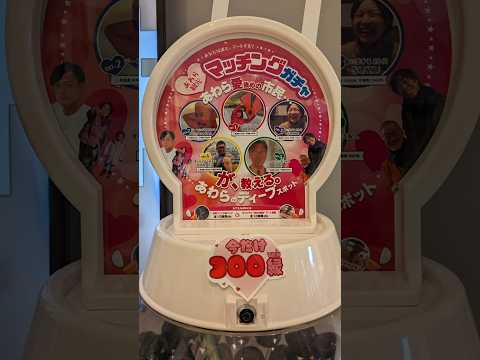 旅log2025.3.31-3 芦原温泉駅で運命のガチャ