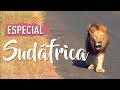 BUEN VIAJE - Especial Sudáfrica en Kruger Park