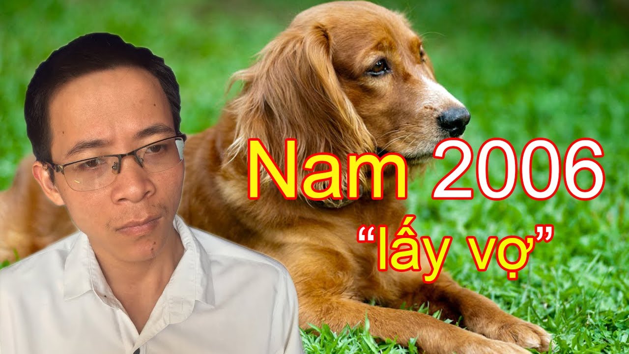 Trai 2006 Bính Tuất lấy vợ tuổi nào Giàu sang Phú quý