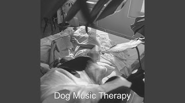 Pulsating Saxophone Bossa Nova - Vibe for Reading