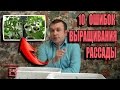 10 ГЛАВНЫХ ОШИБОК ПРИ ВЫРАЩИВАНИИ РАССАДЫ. САД (ОГОРОД) И ТЕПЛИЦА. САДОВОДСТВО