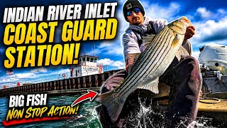 Tog fishing the Indian River Inlet!
