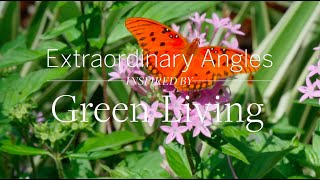 Inspired by… Green Living