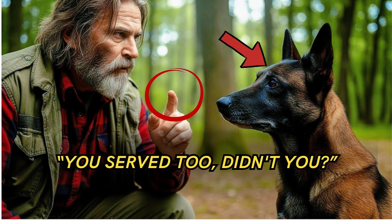 Бездомный ветеран потратил свои последние 5 долларов на старую собаку — и тут к нему вернулись во...