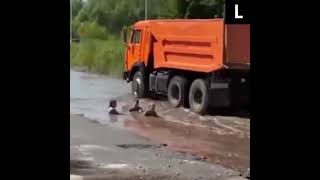 В Новосибирске Дети Искупались В Огромной Луже Посреди Дороги