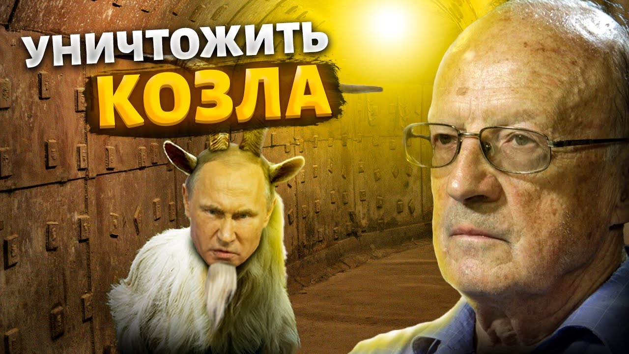 Козла-Путина надо забивать. В бункере паника из-за ответа США по Украине – Пионтковский