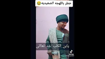 مهرجان خطر ياللي سيرتي تعباك النسخة الصعيدية 