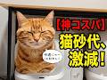 【衝撃】トイレの猫砂代を激減させた「革命的」な猫砂を紹介