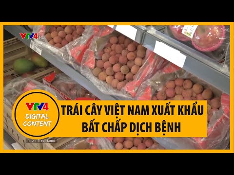 Video Tiêu thụ và xuất khẩu rau quả trong bối cảnh dịch... - youtube