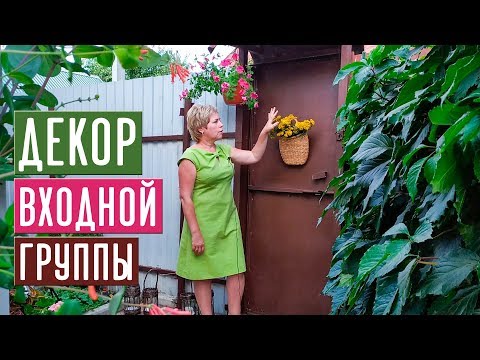 Вопрос: Какие растения лучшие для декора очень влажного участка?