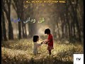 زي مانتى قمر فى عينى (عمرو دياب)حالات واتس اب⁦❤️⁩
